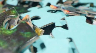 extremely close-up detailed plan. a bunch of randomly lying puzzle pieces