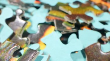 extremely close-up detailed plan. a bunch of randomly lying puzzle pieces