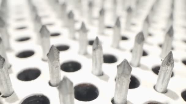 Extremely close-up detailed. nails on a white board sadhu for meditation — Wideo stockowe