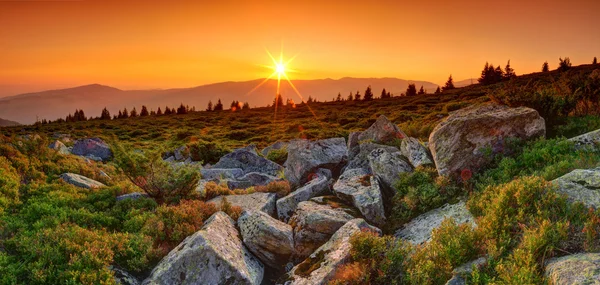 dağlarda yaz peyzaj