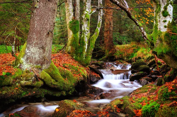 Paisagem de outono, rio de montanha e árvores — Fotografia de Stock