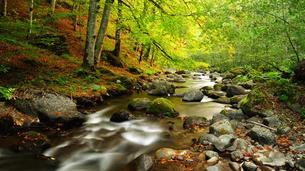 Rivière de montagne fin automne — Photo