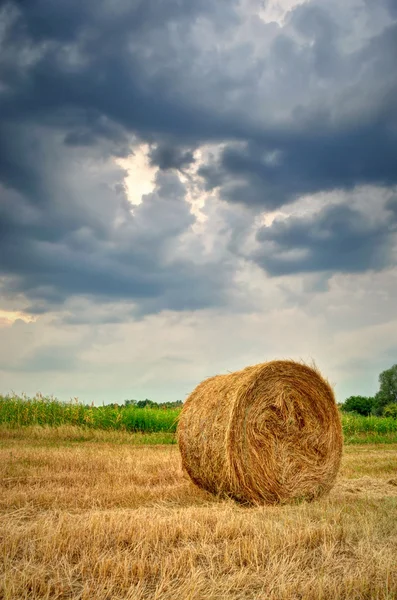 Balle di fieno in un campo poco prima di una tempesta — Foto Stock