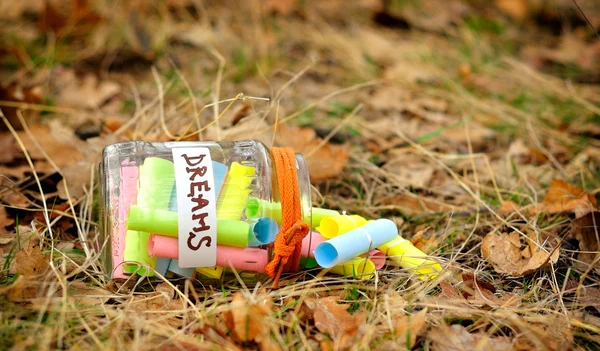 ev yapımı kavanoz Dreams