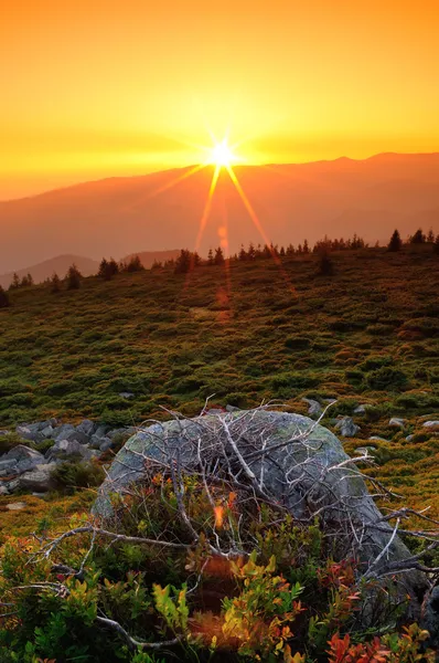 Majestueuze zonsopgang in de bergen. — Stockfoto