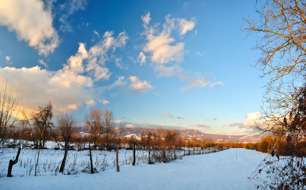 Słoneczny krajobraz zimowy — Zdjęcie stockowe