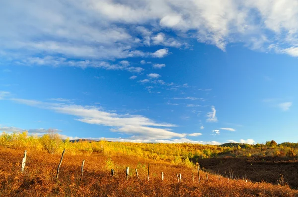 Donker blauwe hemel met mooie witte wolken — Stockfoto