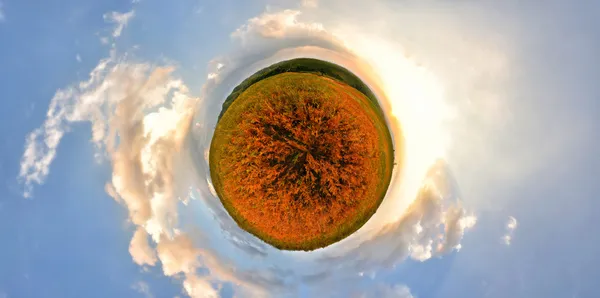 Fern alan mavi gökyüzü ve bulutlar.