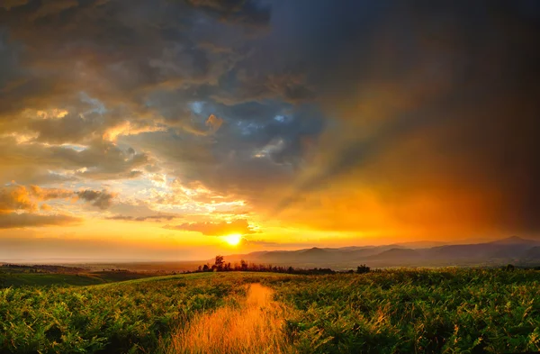 Majestuoso atardecer en el campo rural — Foto de Stock