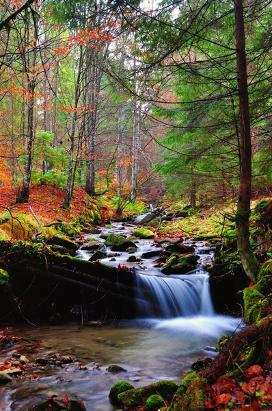 Herfst landschap, berg rivier en bomen — Stockfoto