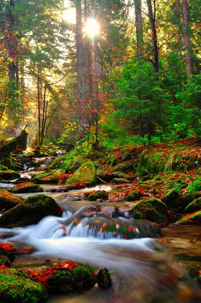 dağ Nehri akıntı yönünde