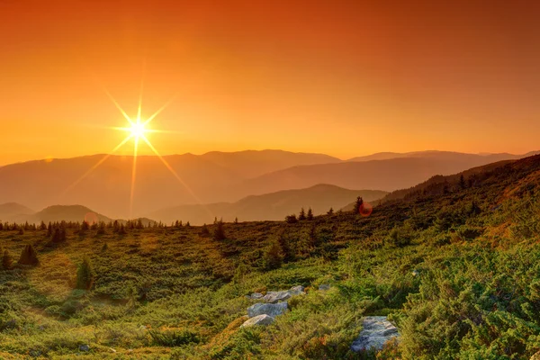 dağlarda yaz peyzaj