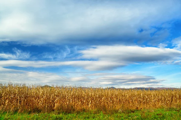 Herfst landschap met prachtige wolken — Stockfoto