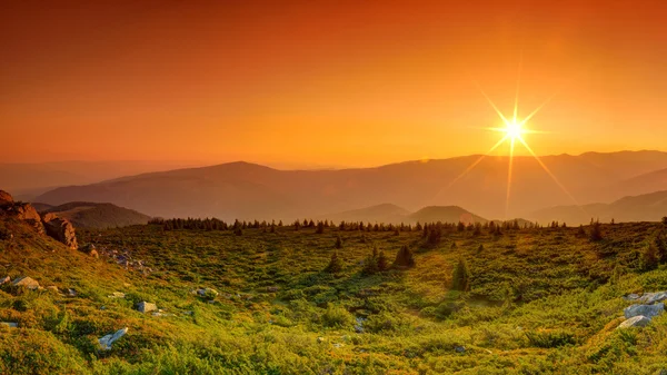 Paisaje de verano en las montañas. Amanecer — Foto de Stock