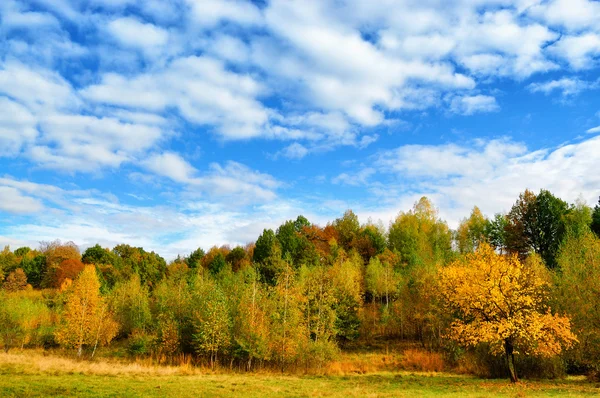 Herbstlandschaft mit strahlend blauem Himmel lizenzfreie Stockfotos