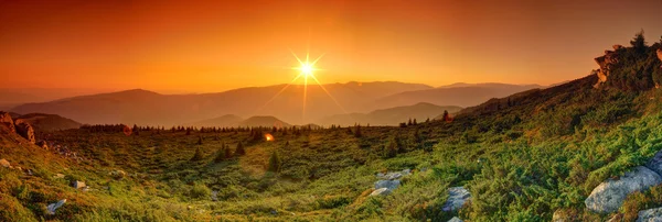 Sommerlandschaft in den Bergen. Sonnenaufgang lizenzfreie Stockfotos