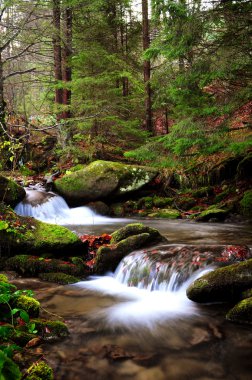 Sonbaharda dağ nehri