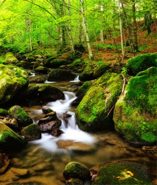 dağ nehir erken Güz