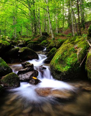 dağ nehir erken Güz