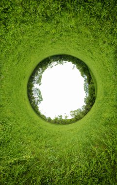 Yaz aylarında yeşil alan