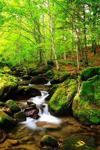 Río de montaña a principios de otoño —  Fotos de Stock