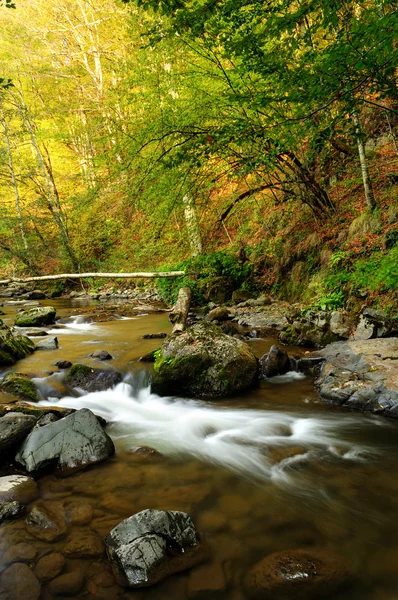 Sonbaharda dağ nehri — Stok fotoğraf