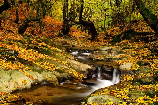 Fiume in bellissimi colori autunnali con foglie — Foto Stock