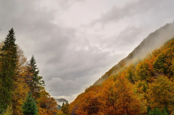 Herfst landschap, bewolkt weer. — Stockfoto
