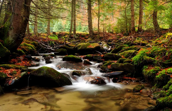 Sonbaharın sonlarında dağ nehri