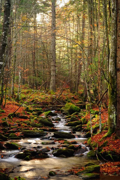 Fiume di montagna nel tardo autunno — Foto Stock