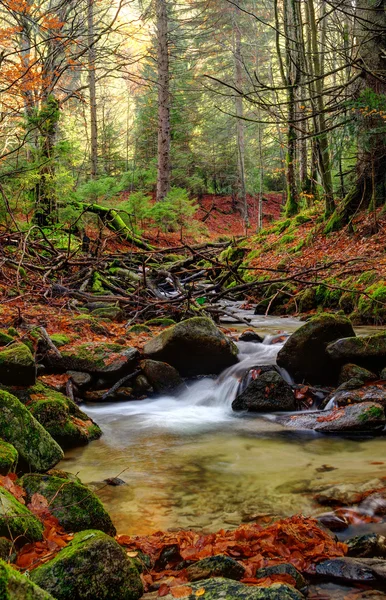 Fiume di montagna nel tardo autunno — Foto Stock