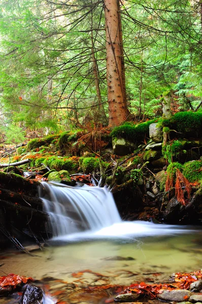 Cascata del fiume di montagna all'inizio dell'autunno — Foto Stock