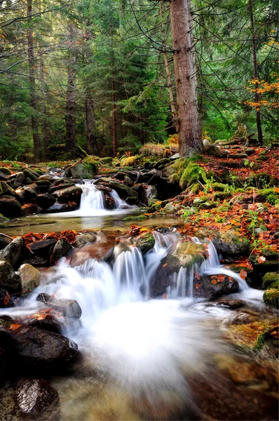 Cascata del fiume di montagna in autunno — Foto Stock