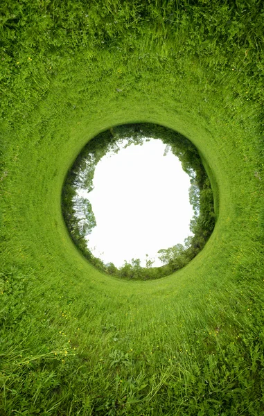 Yaz aylarında yeşil alan