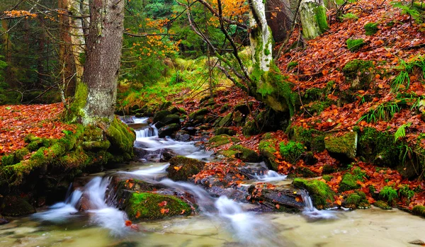 Herfst landschap, berg rivier en bomen — Stockfoto