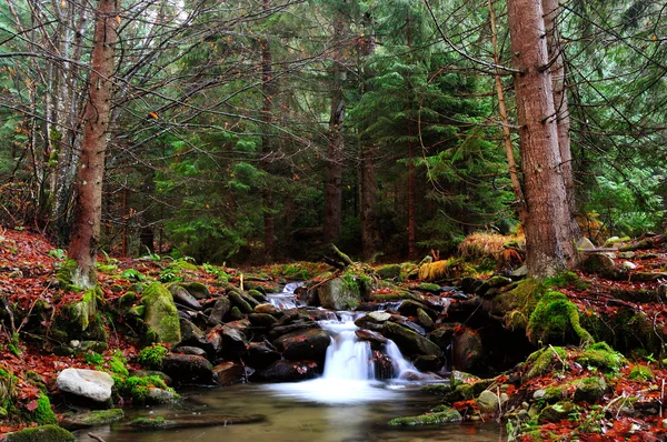 Río de montaña a finales de otoño — Foto de Stock