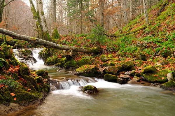 Górska rzeka późną jesienią — Zdjęcie stockowe