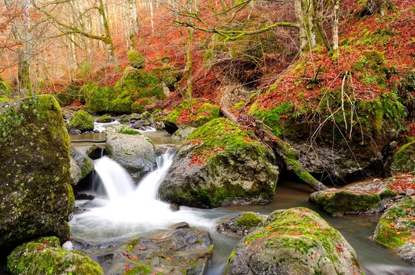 Cachoeira bonita na floresta, paisagem de outono — Fotografia de Stock