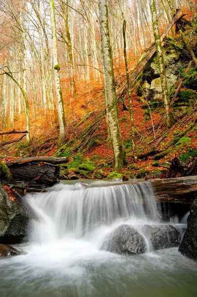 Cascata nella foresta, paesaggio autunnale — Foto Stock