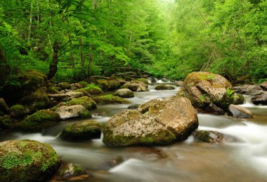Bulutlu sabah hızlı akan nehir dağ.