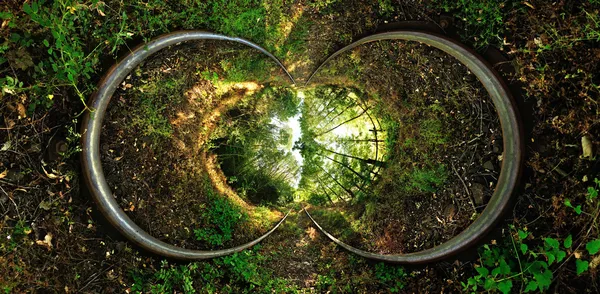 sterografik projeksiyon bir tren yolu ile ağaçları.