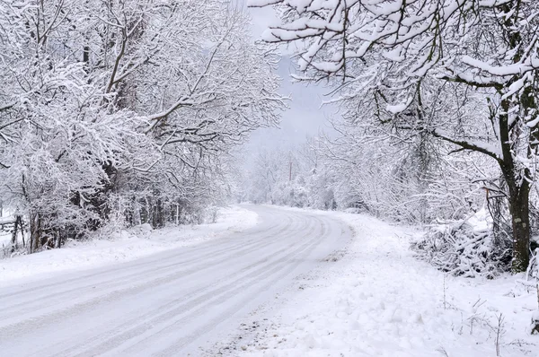 Winter path with frozen trees — Stock Photo, Image