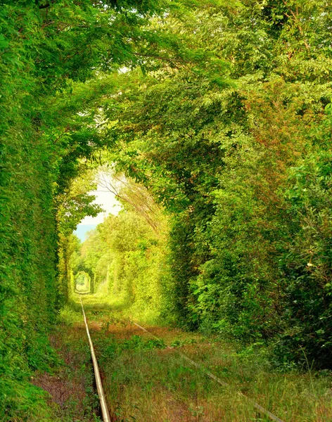 Natürlicher Tunnel der "Liebe"" — Stockfoto