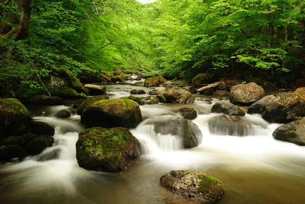 Bulutlu sabah hızlı akan nehir dağ.