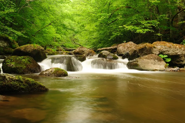 Mountain river flowing fast in a cloudy morning. — Stock Photo, Image