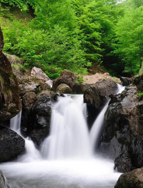 Bulutlu sabah hızlı akan nehir dağ.