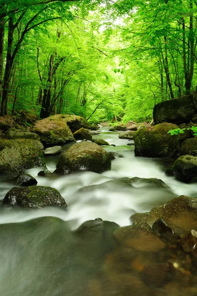 Río de montaña que fluye rápido en una mañana nublada . — Foto de Stock