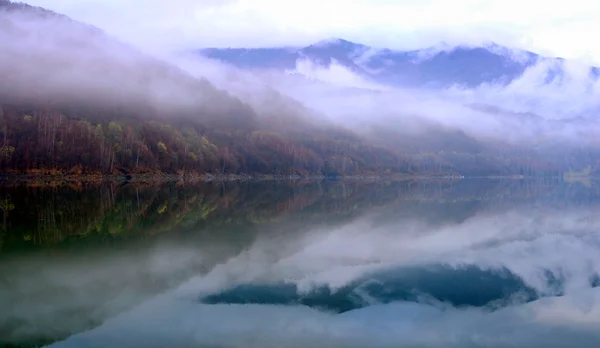 Jezioro i Las odbicie sceny w późną zimą z mgły. — Zdjęcie stockowe
