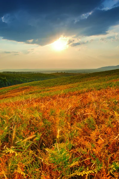 Kleurrijke herfstzon met zonnestralen die de wolken kleuren. — Stockfoto