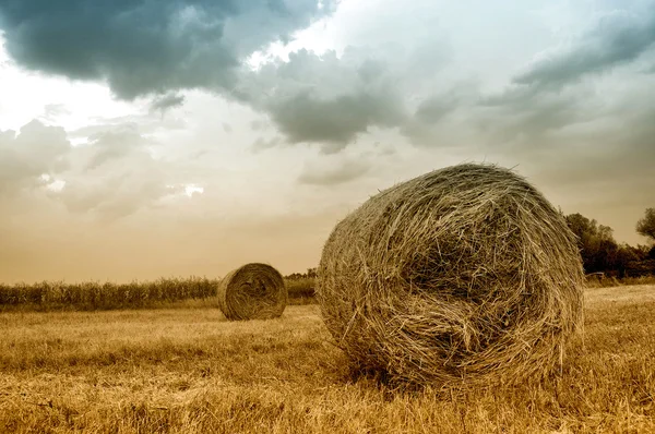 Hooibalen in een veld vlak voor een storm — Stockfoto